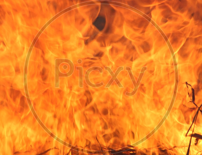 Ferocious fire