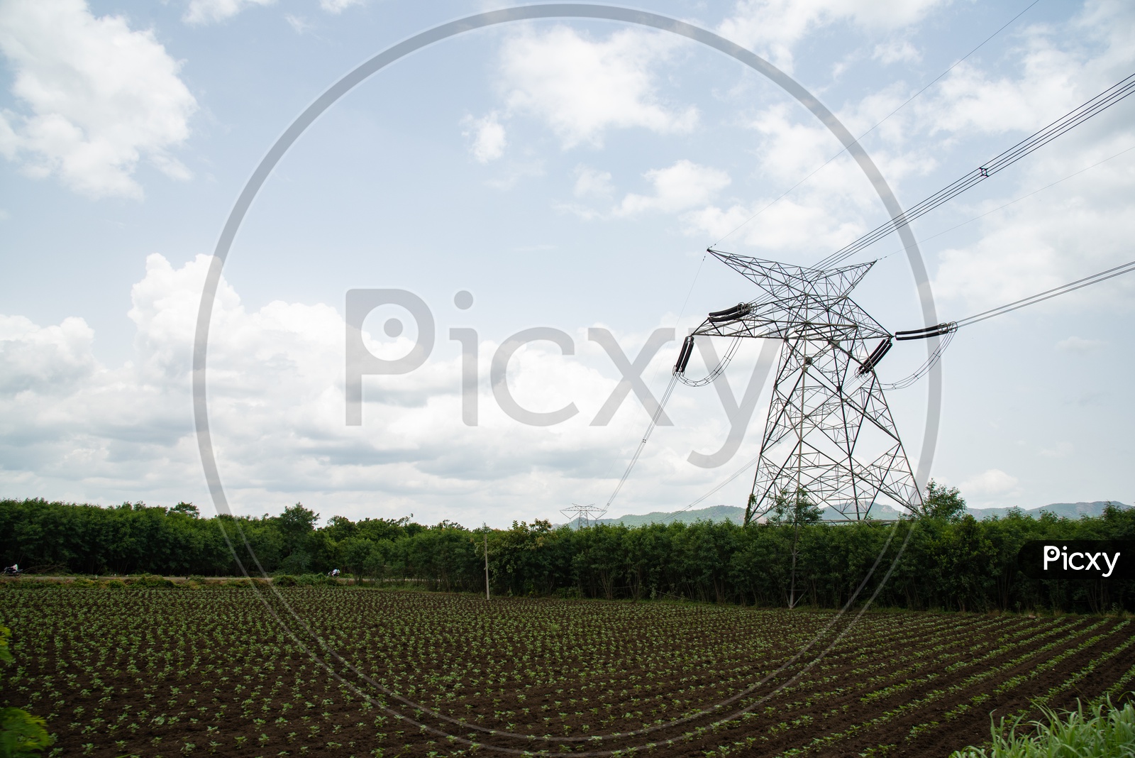 Electricity and Agriculture
