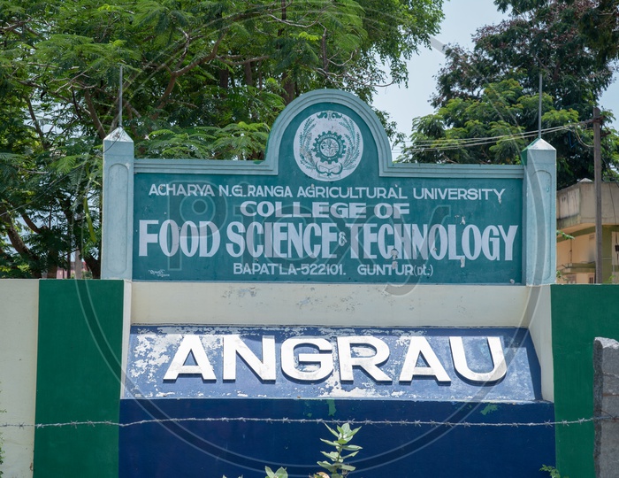 College of Food Science and Technology