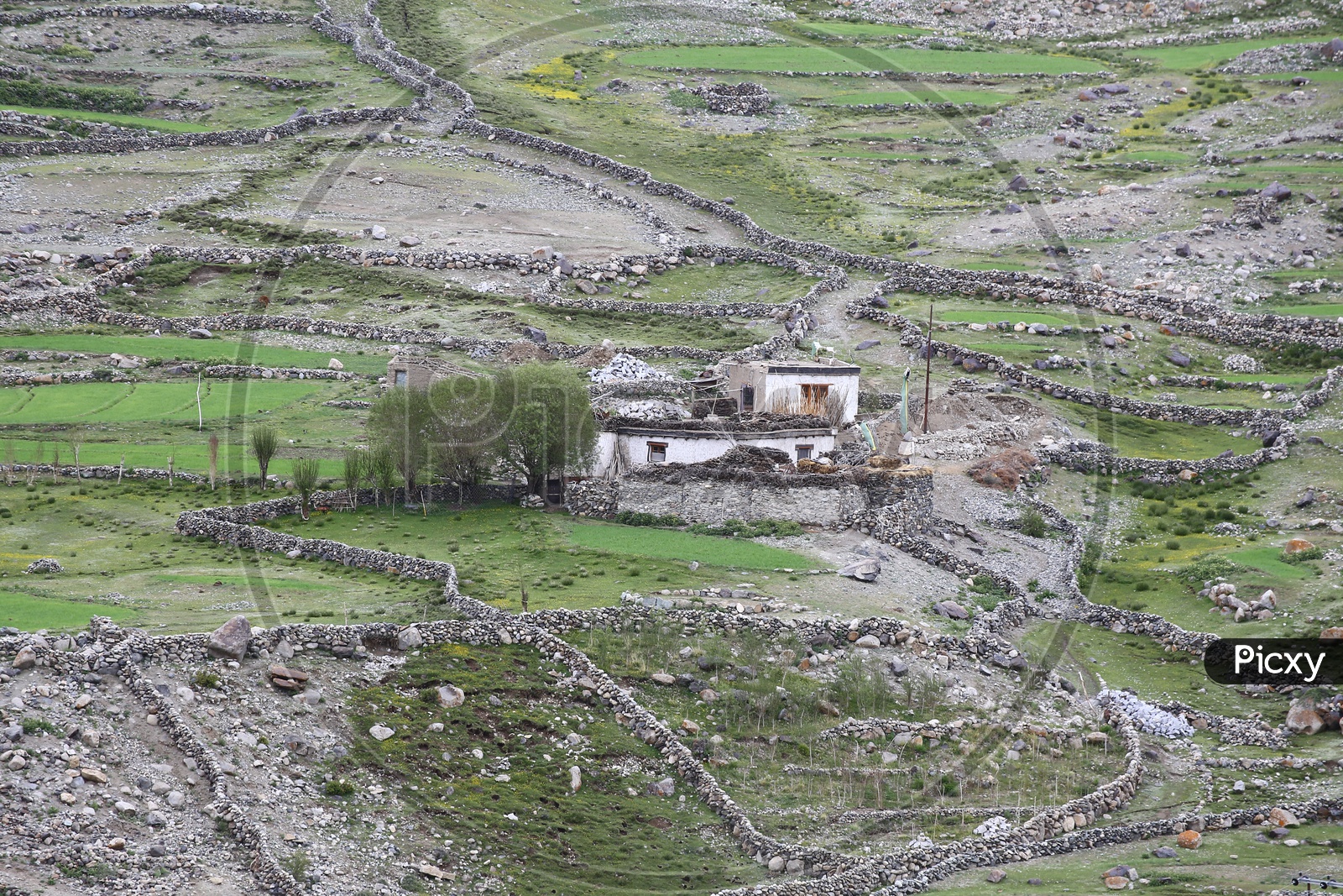 Stone Houses, Livelyhood of Diskit Monastery