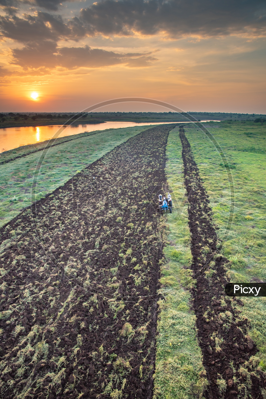 Cultivation on the banks of River Manjeera at sunset