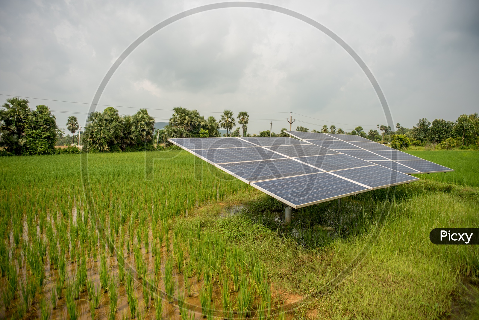 solar panels in fields