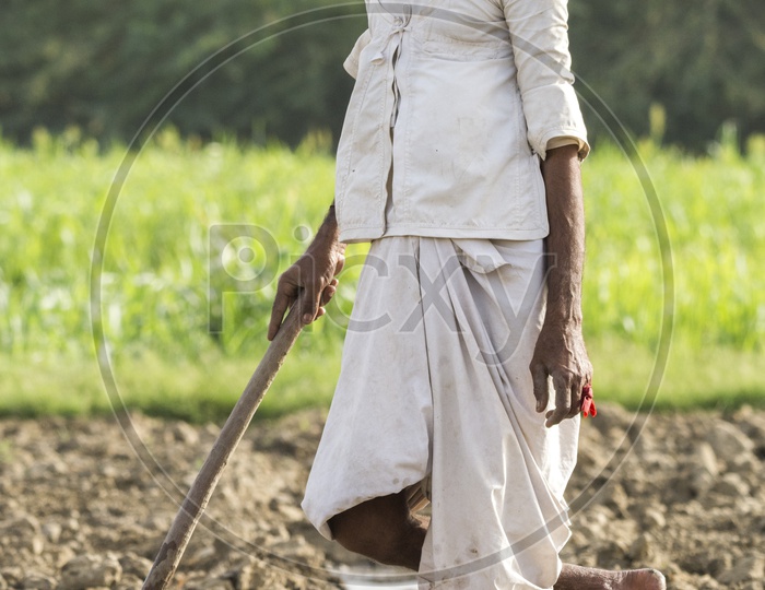 Rajasthani Farmer