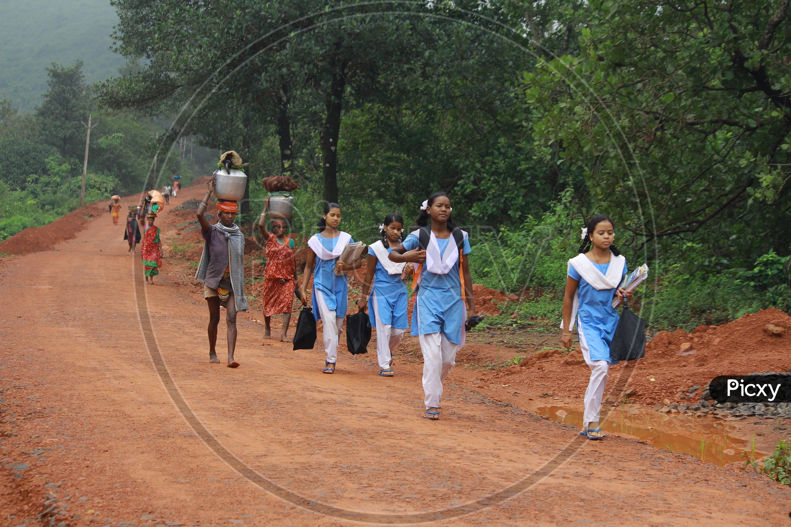 Next Generation Bonda Tribal Girls going to School