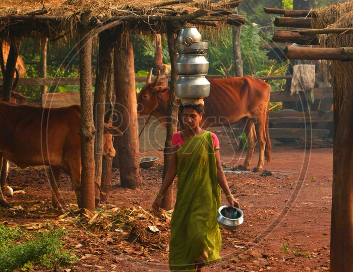 Tribal Woman carry Water on their head