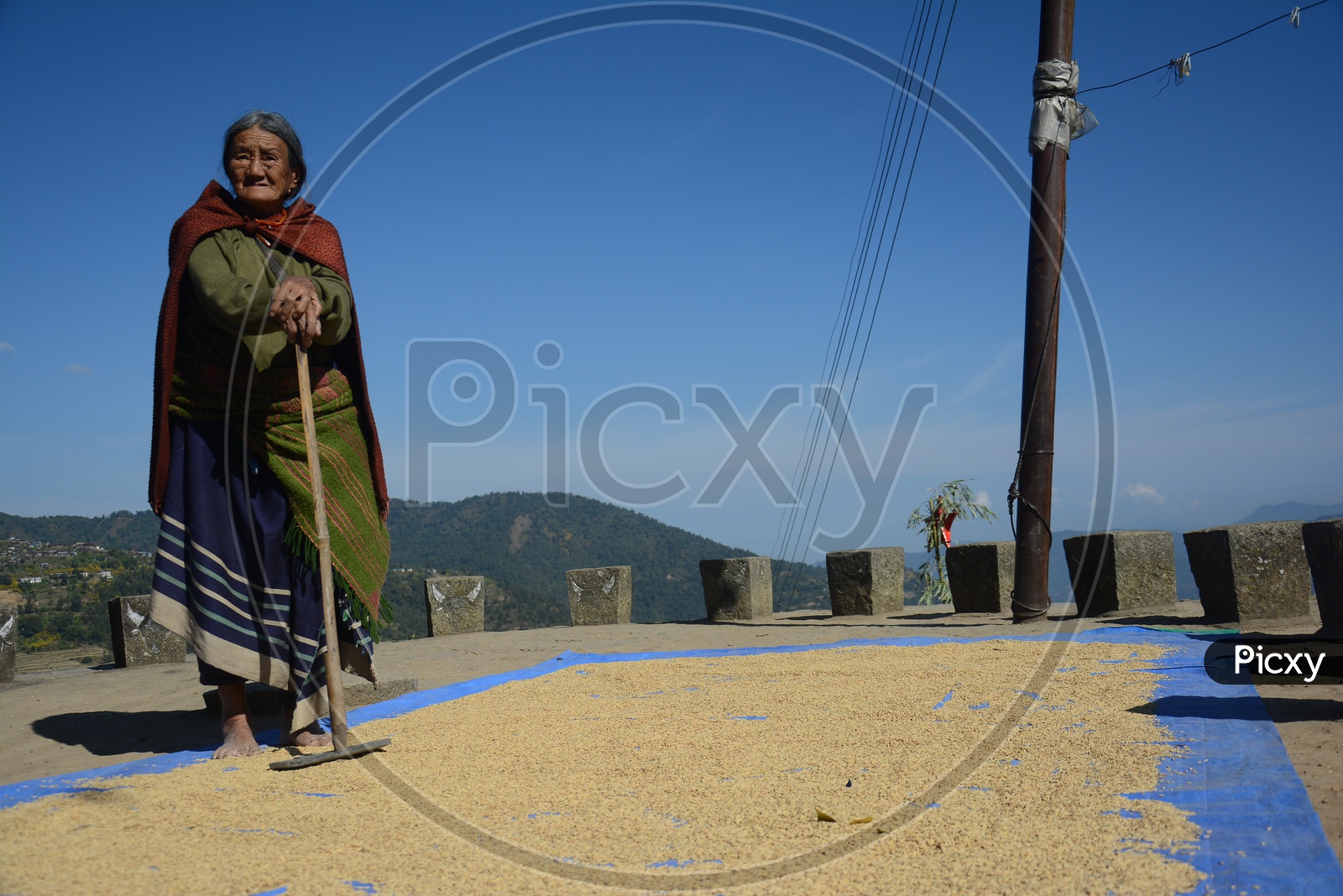 Nagaland Woman