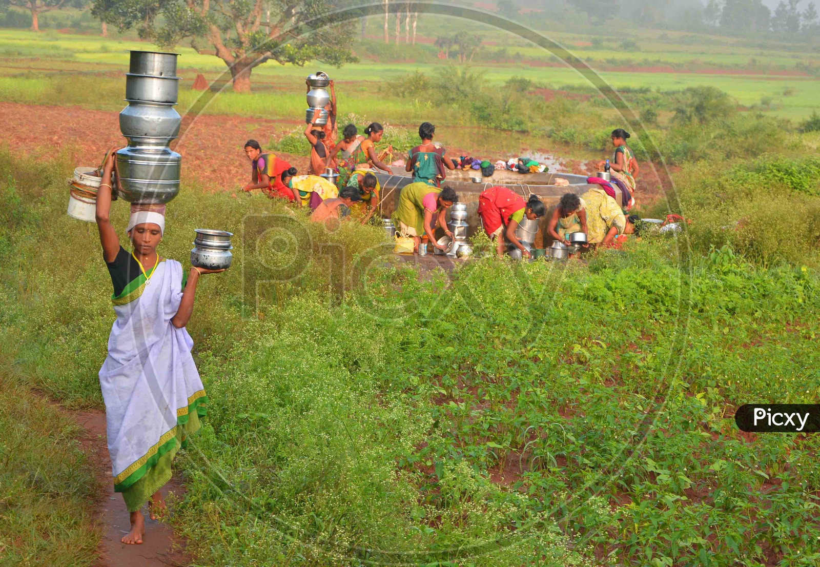 Tribal Women carry Water on their head.