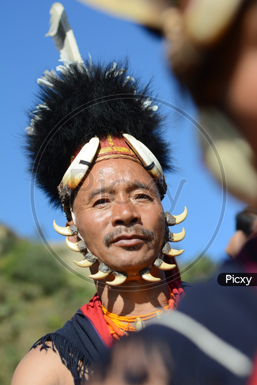 image-of-hornbill-festival-in-nagaland-gn635568-picxy