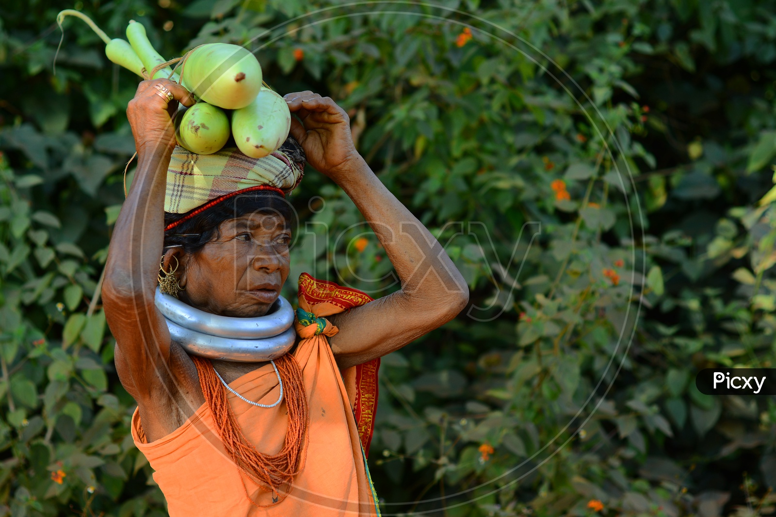 Tribal Woman carrying vegetables to the market