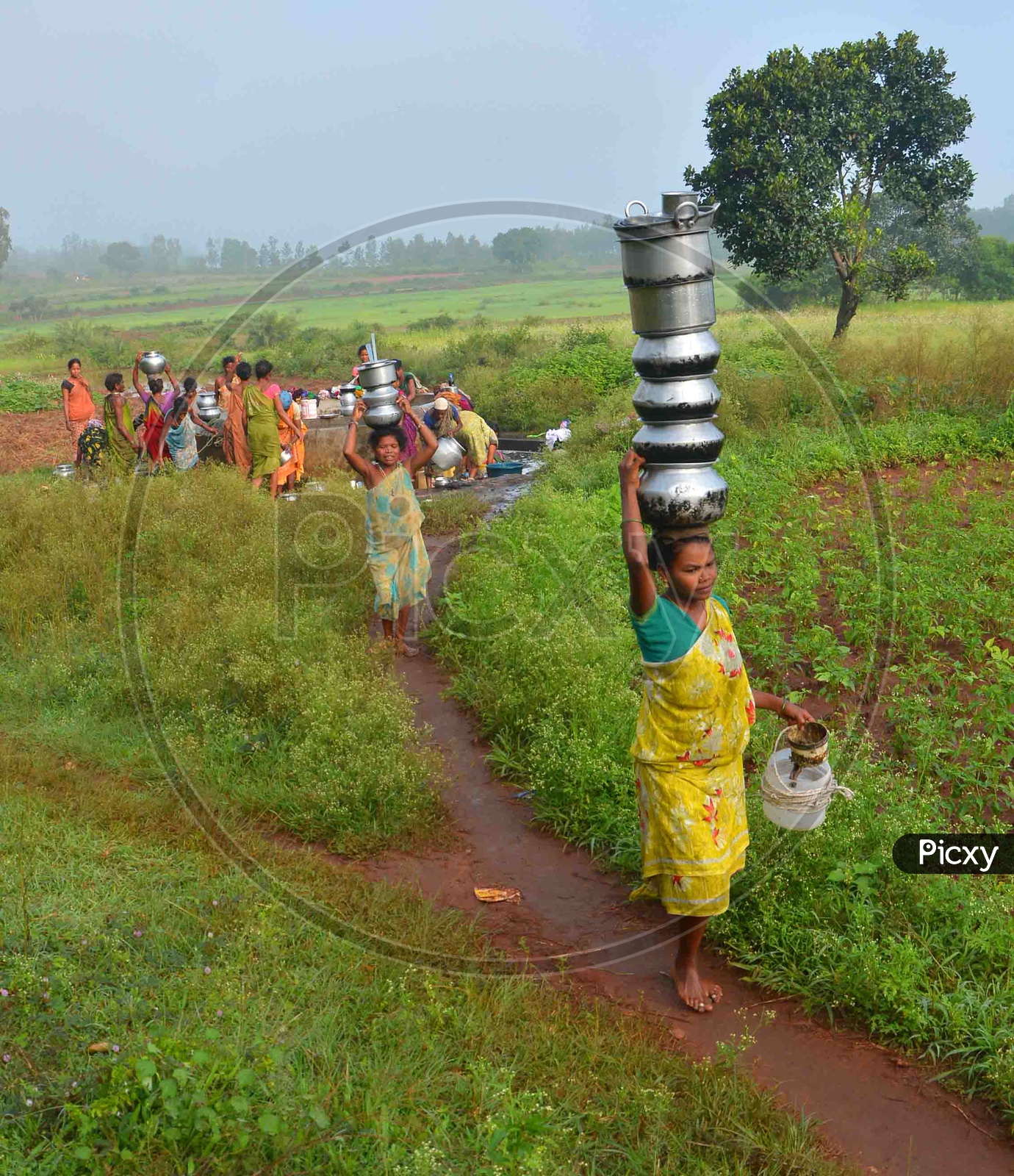 Tribal Women carry Water on their head