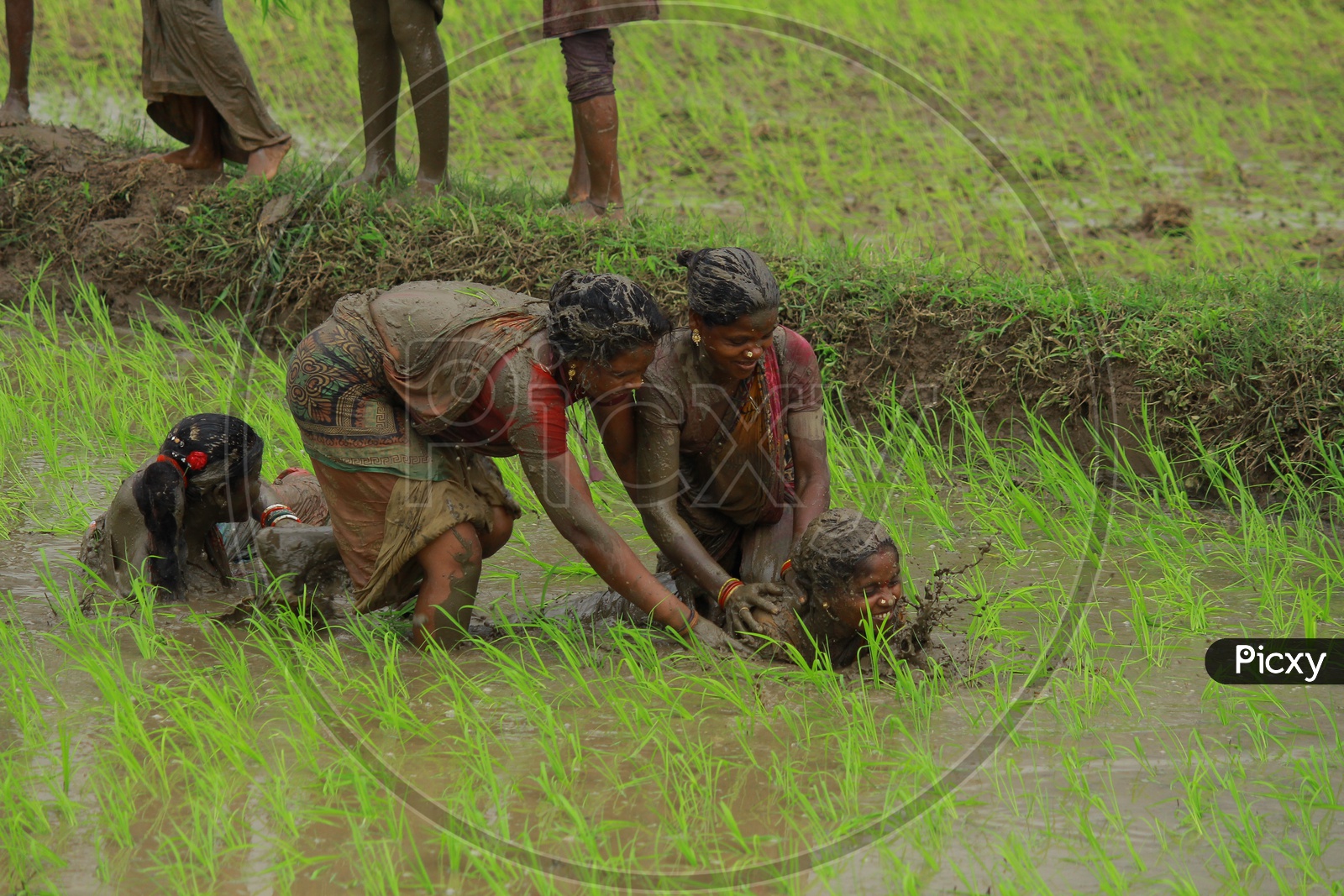 Women Farmers Playing in Paddy Field