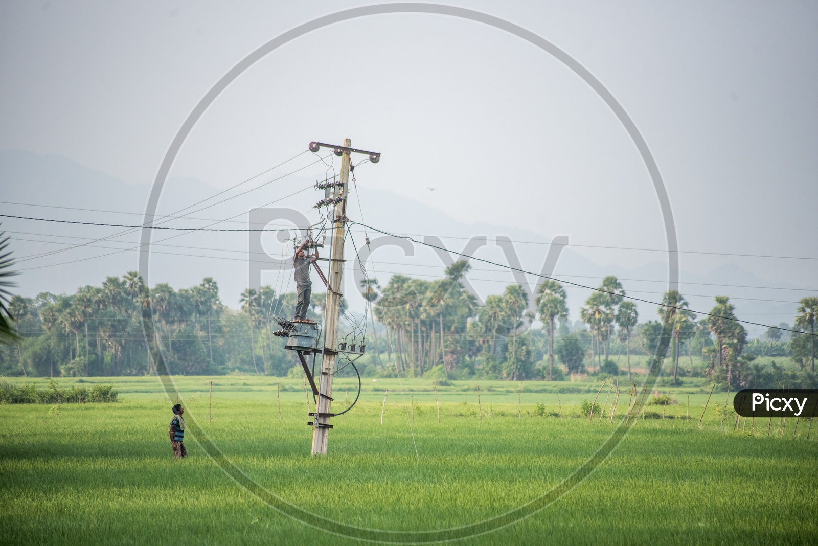 Electrical works in farms
