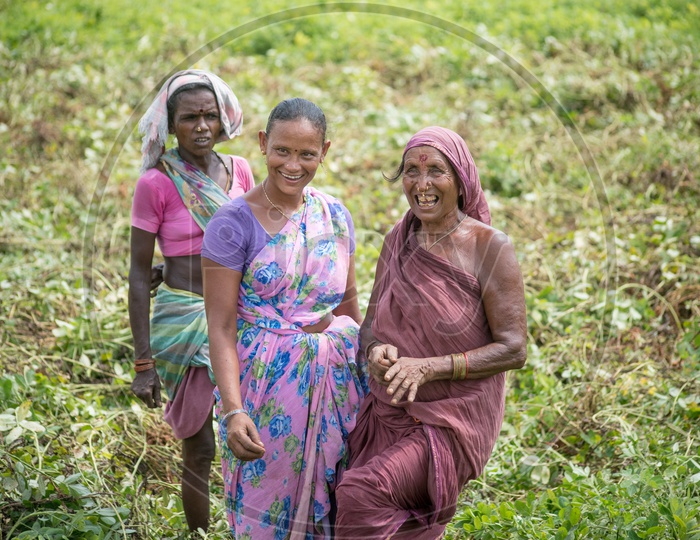 lady farmers in groundnut fields