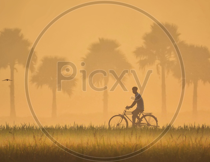The Bicycle Rider