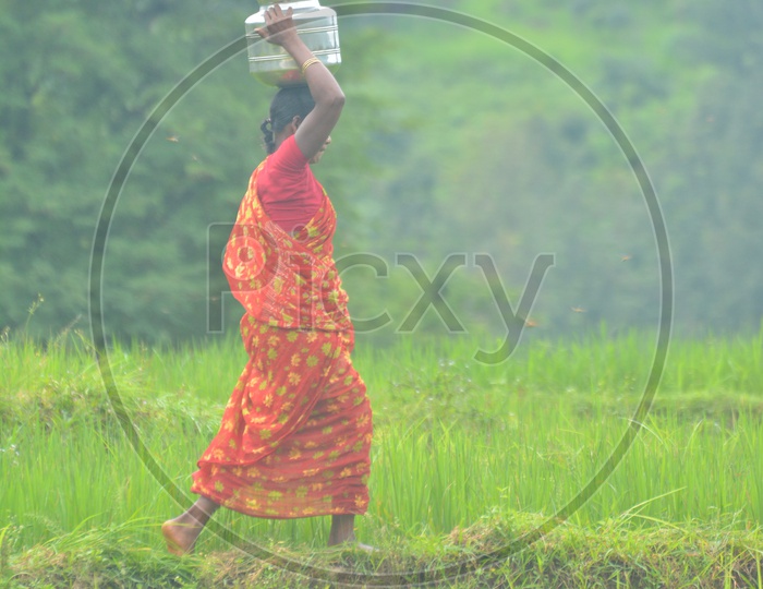 Tribal Woman Carrying Water on her Head