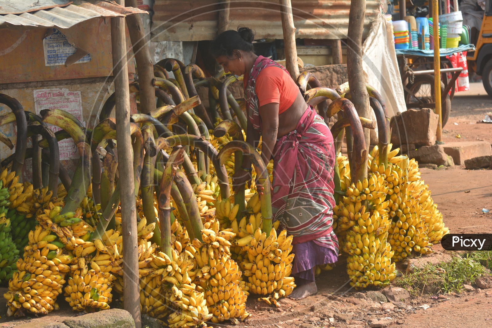Araku Tribal Woman Selling Bananas