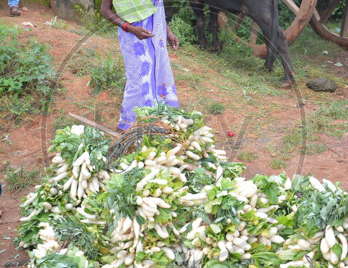 Araku Tribal Woman Selling Vegetables