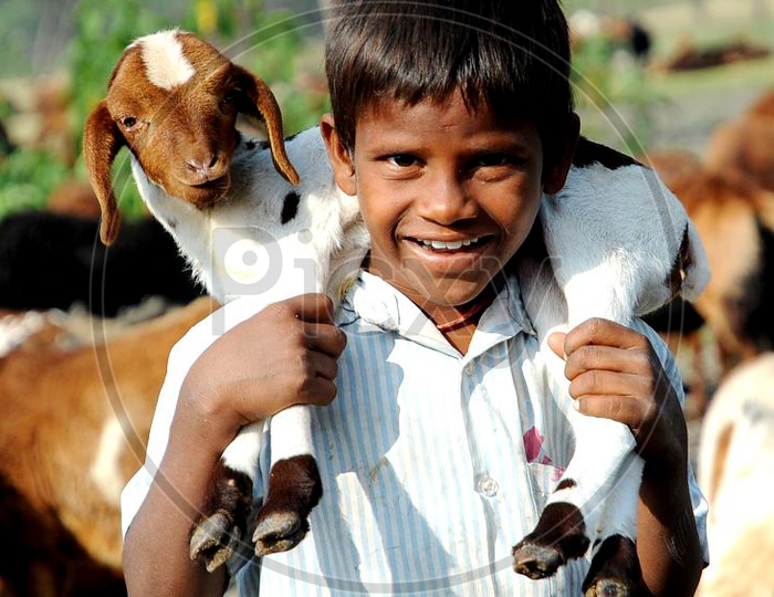 Smiling Tribal Child with Goat on his Shoulder