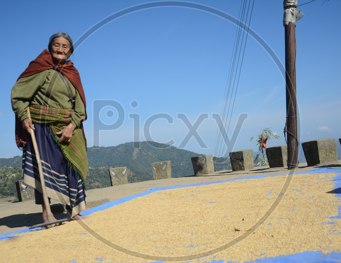 Old Woman working in Nagaland