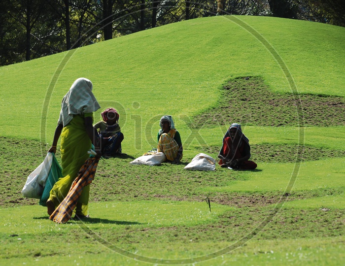 Women  working in Lawn