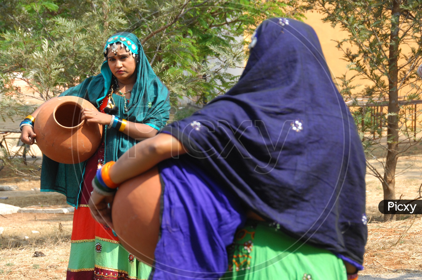Indian Female in Rajasthani Attire
