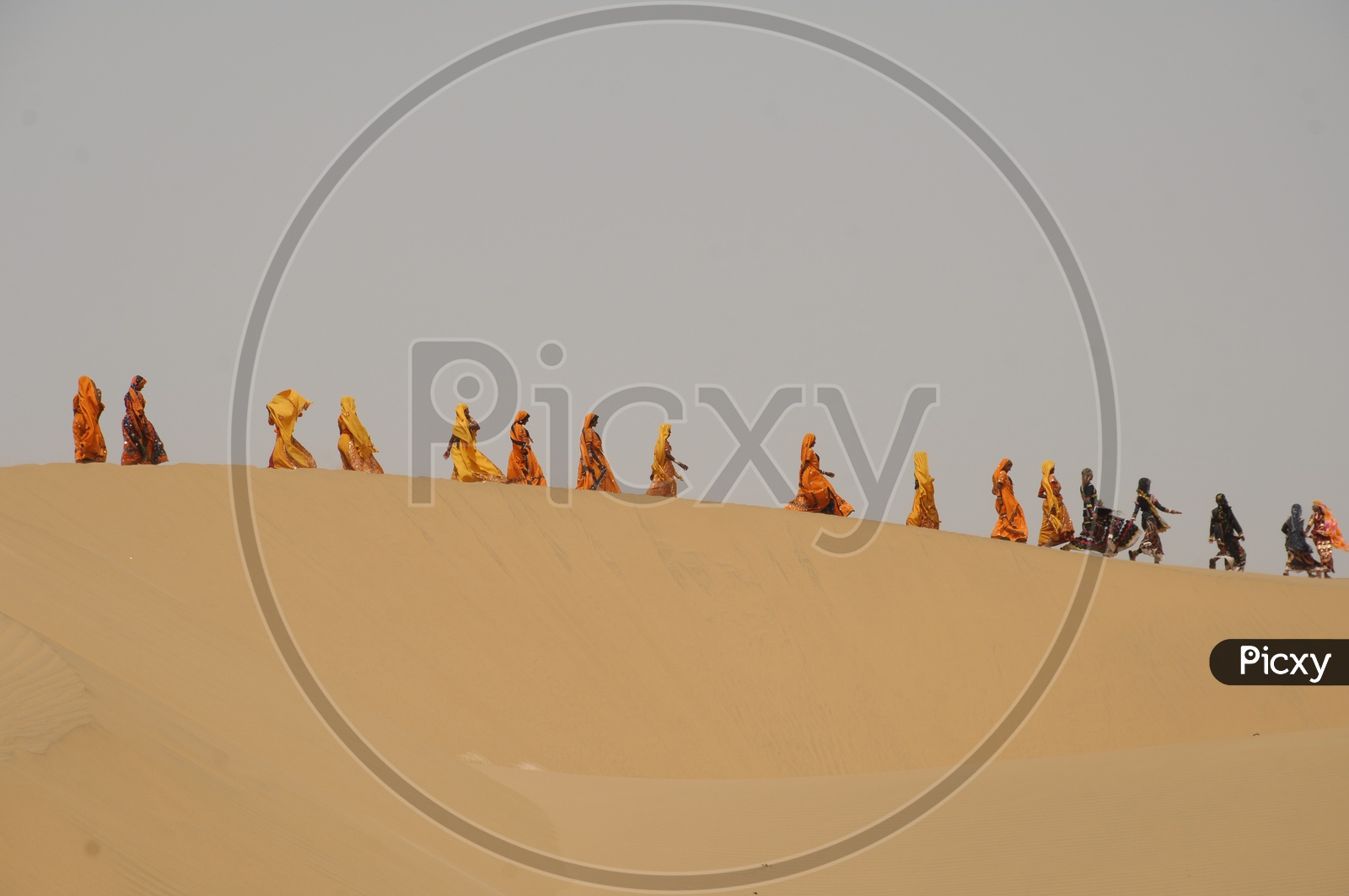 Rajasthani women walking  in a desert