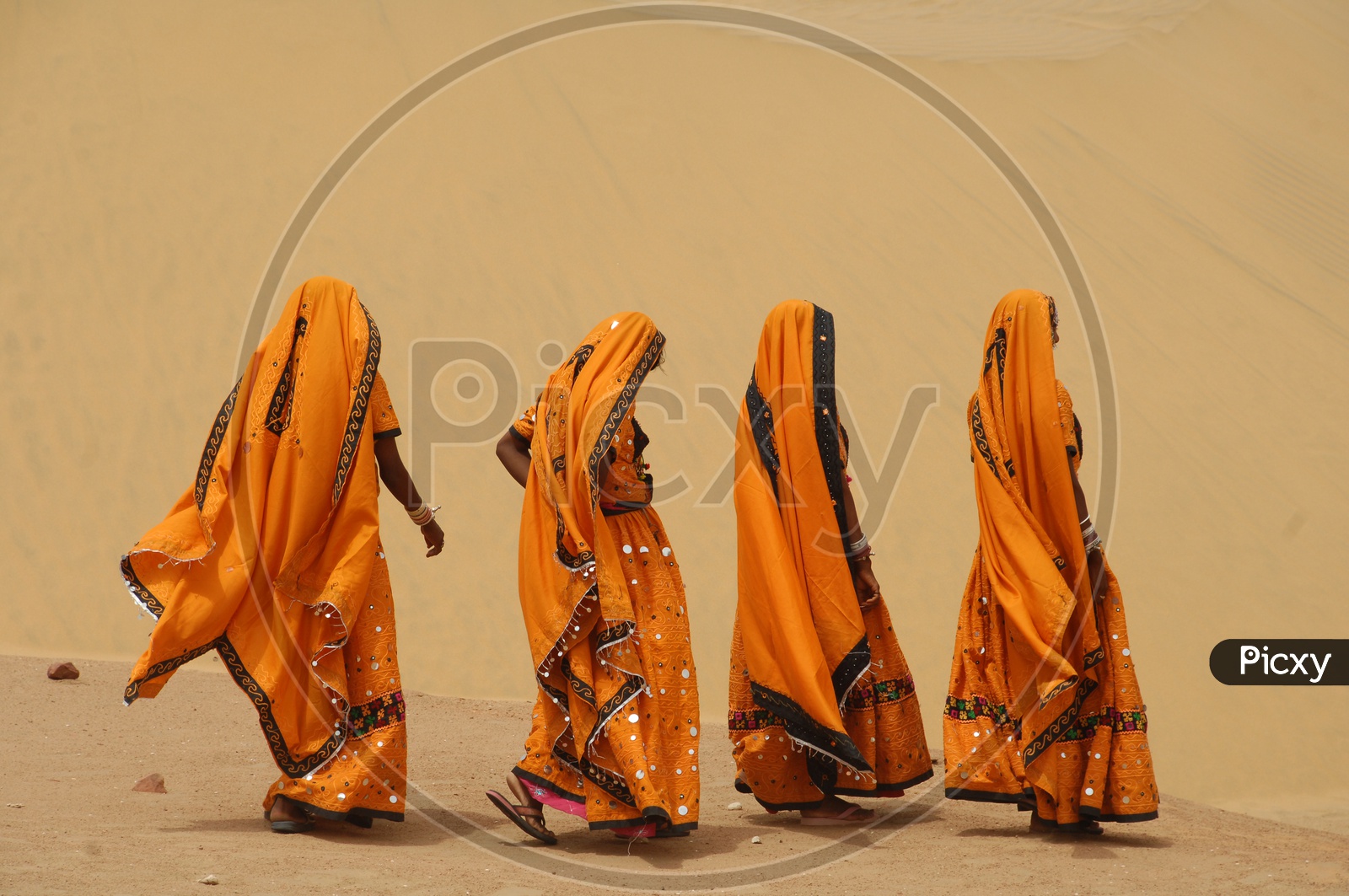 Indian women  in Rajasthan Desert