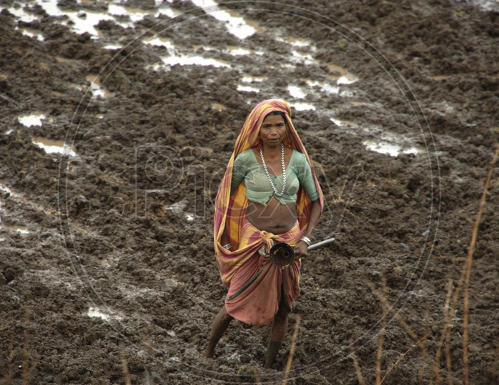South indian Rural woman working in a field