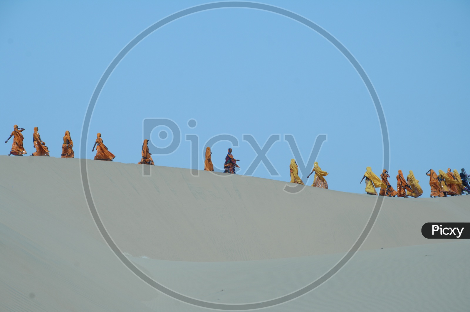 Rajasthani women walking  in a desert