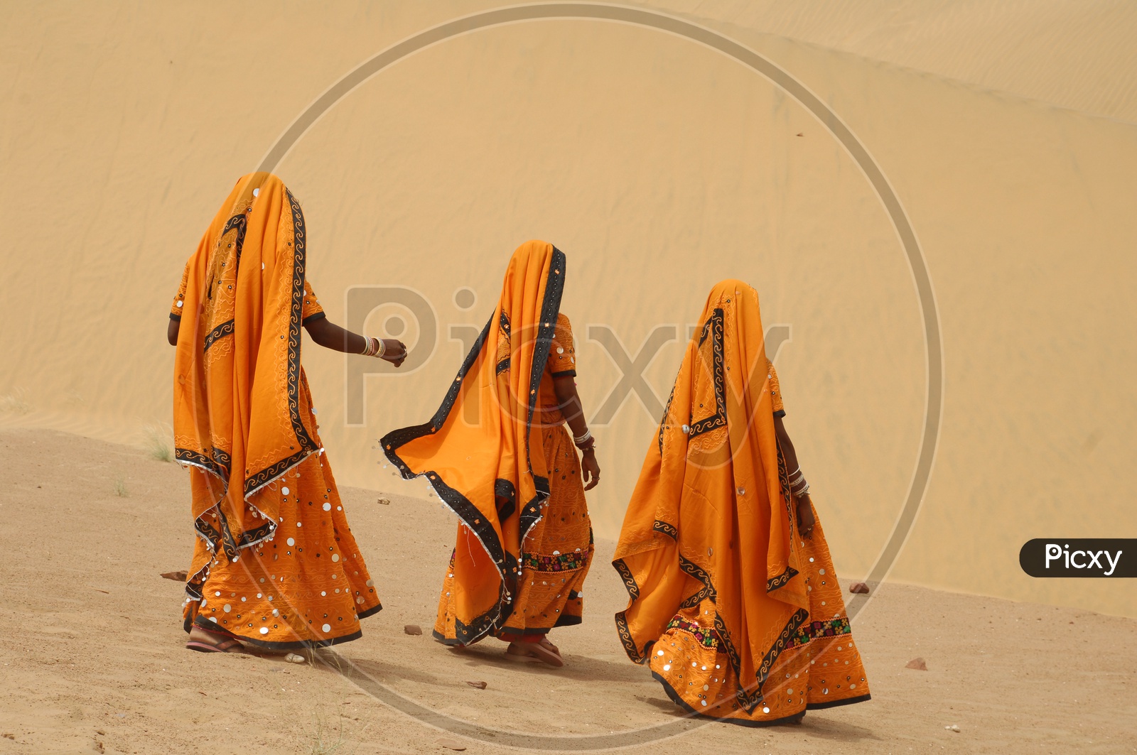 Indian women  in Rajasthan Desert