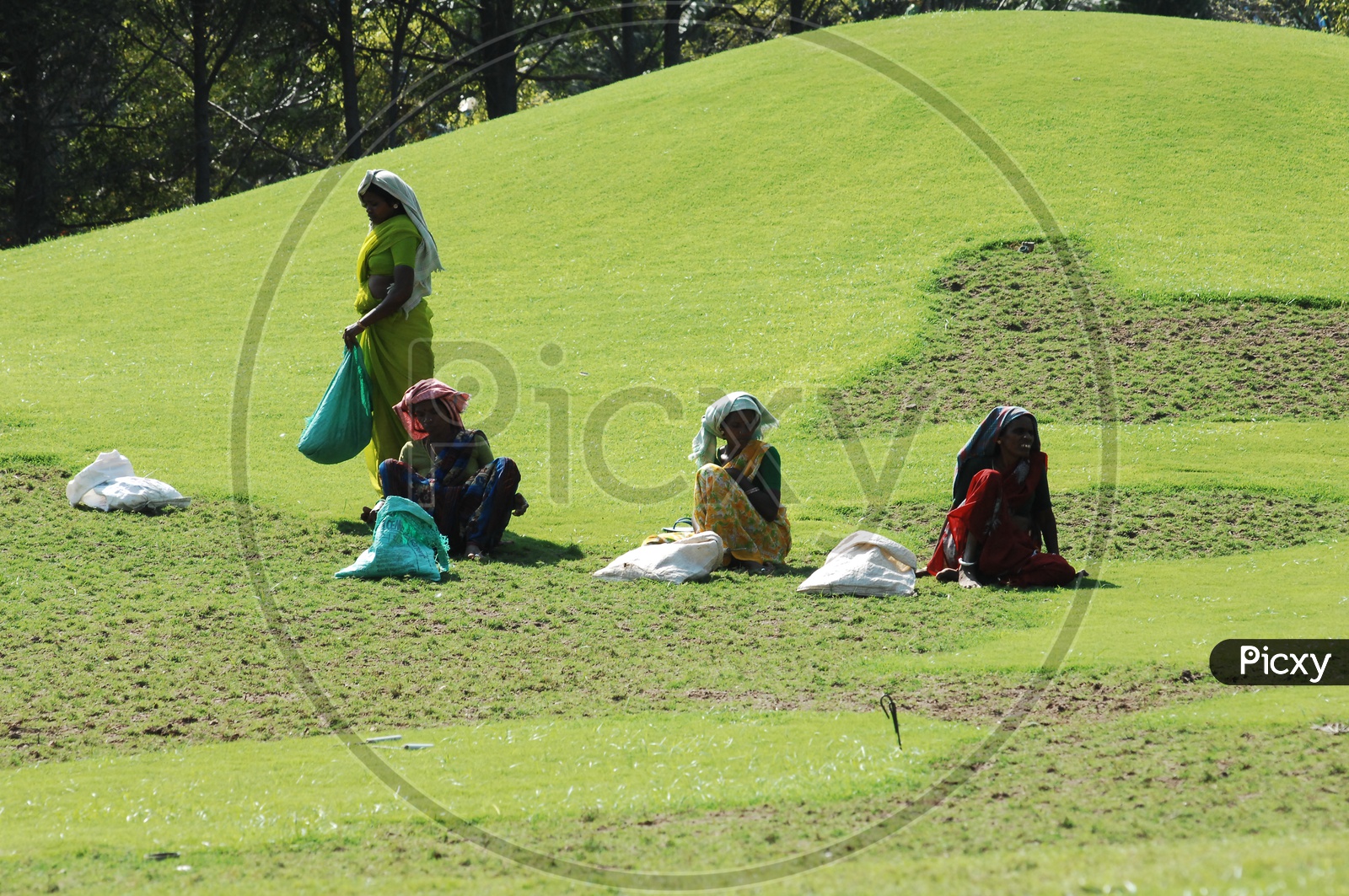 Women  working in Lawn