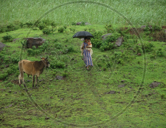 South indian Rural woman working in a field with a kid