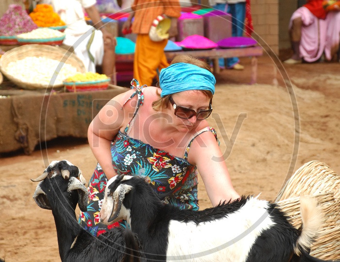 foreign lady in India feeding goats