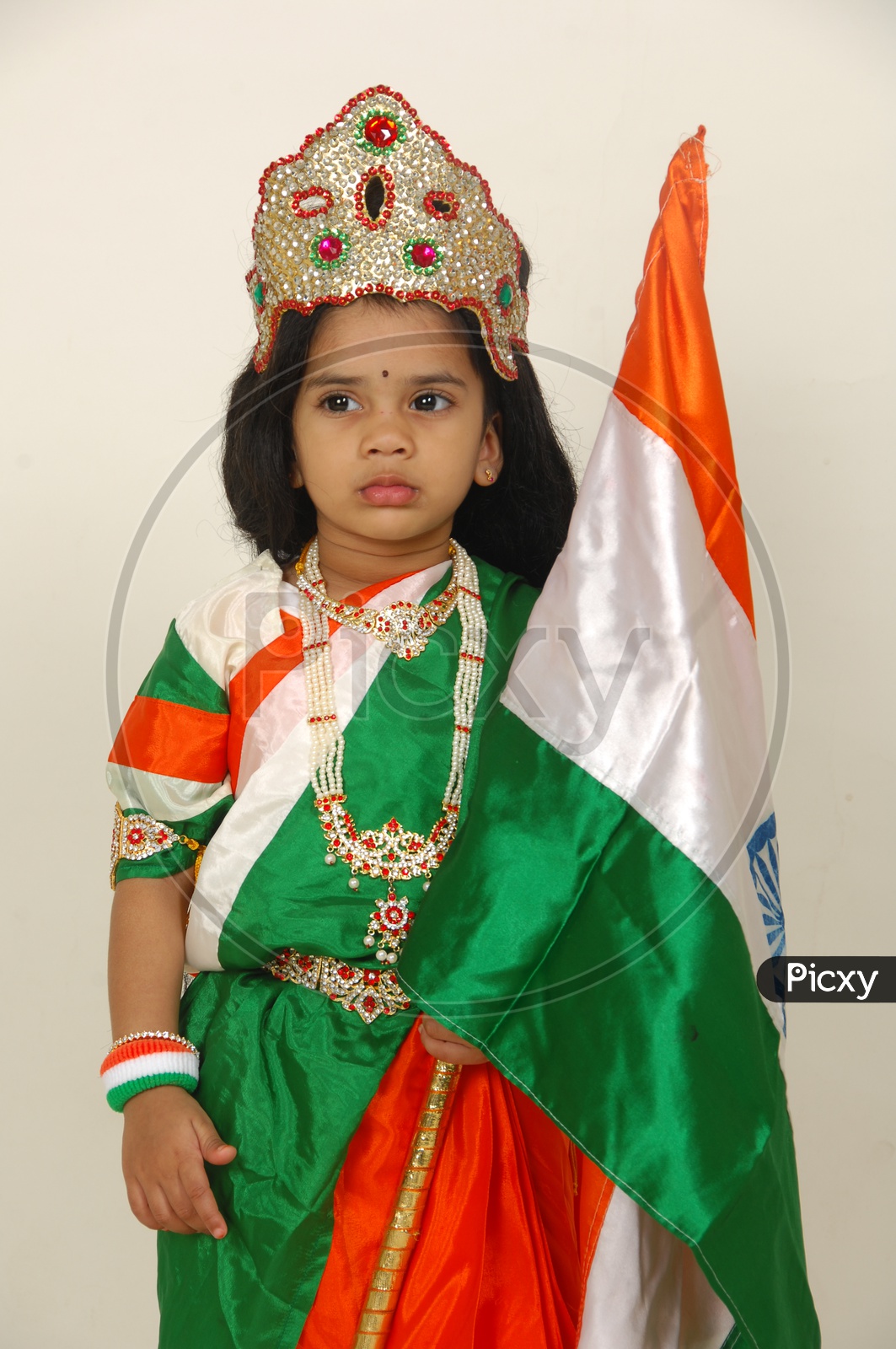 Indian independence day tricolour sarees | Buy flag saree online