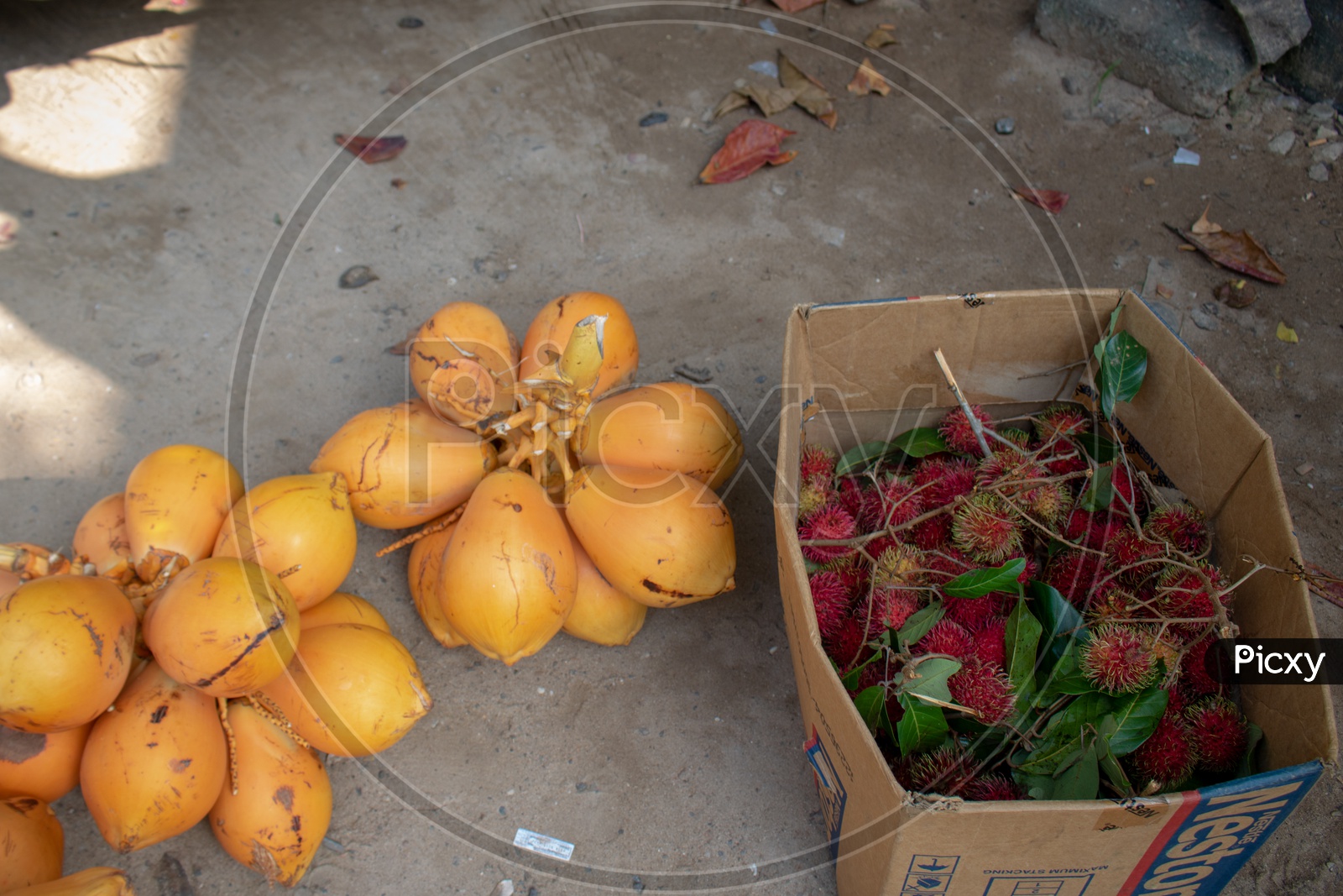 King Coconuts and Rambutans being sold on streets.