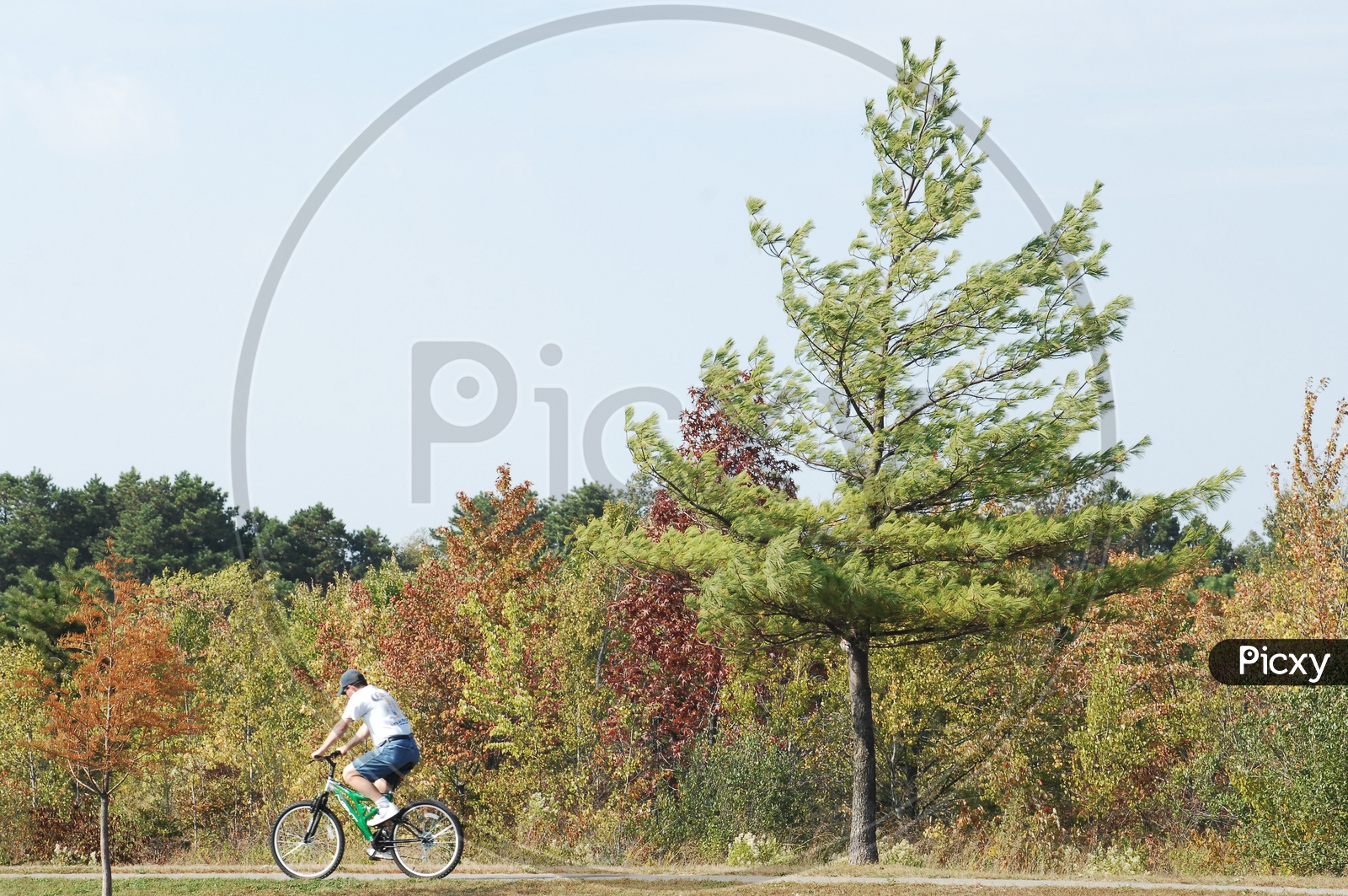 A Cyclist Cycling In a Park