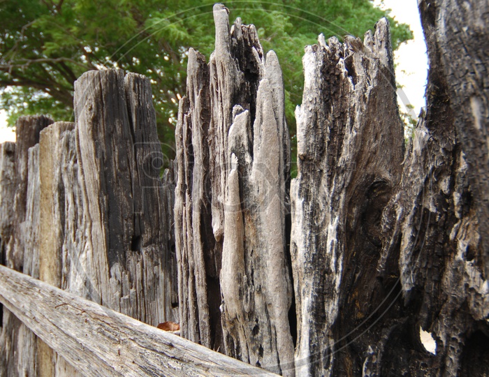 Wood Texture of a Wooden Fence
