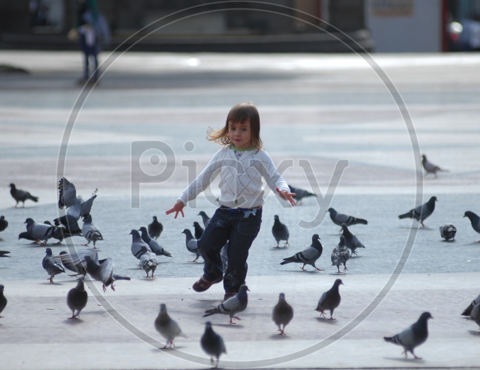 A Girl Child Playing With Pigeons on Roads
