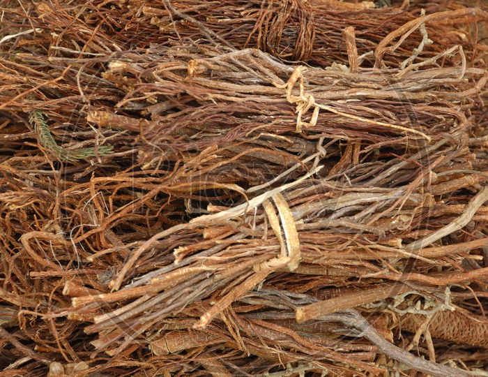 Dried Sticks Bundles