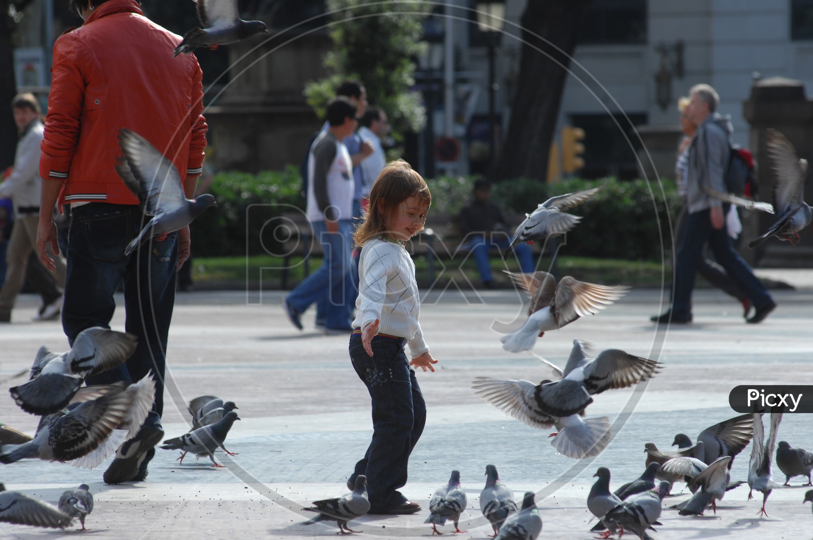 A Girl Child Playing With Pigeons on a Road