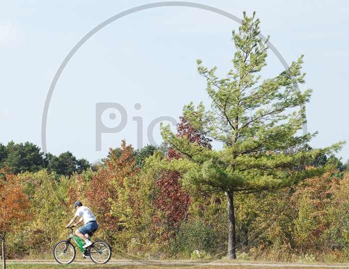 A Cyclist Cycling In a Park