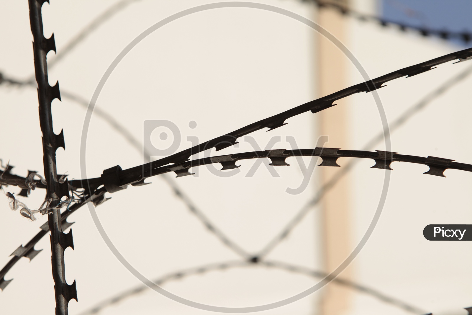 Fence Wire Closeup Shot