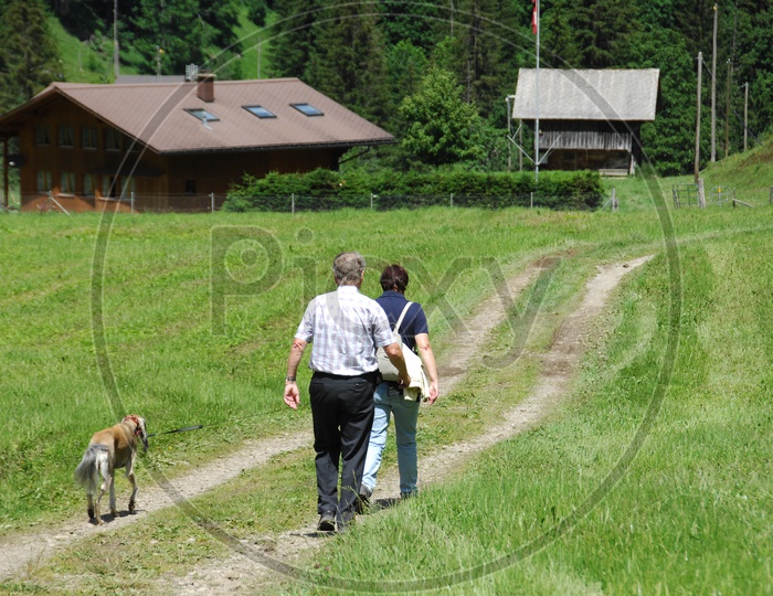 A Couple Walking on a Pathway With Greenery All Around Them
