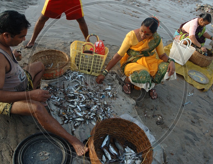 Fisher man Sorting their catch of fish on the river banks
