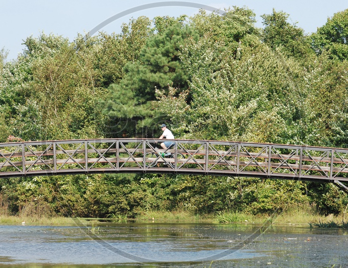 A Cyclist On a Wooden Bridge in a Park