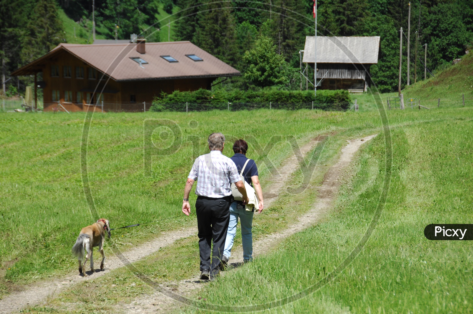 A Couple Walking on a Pathway With Greenery All Around Them