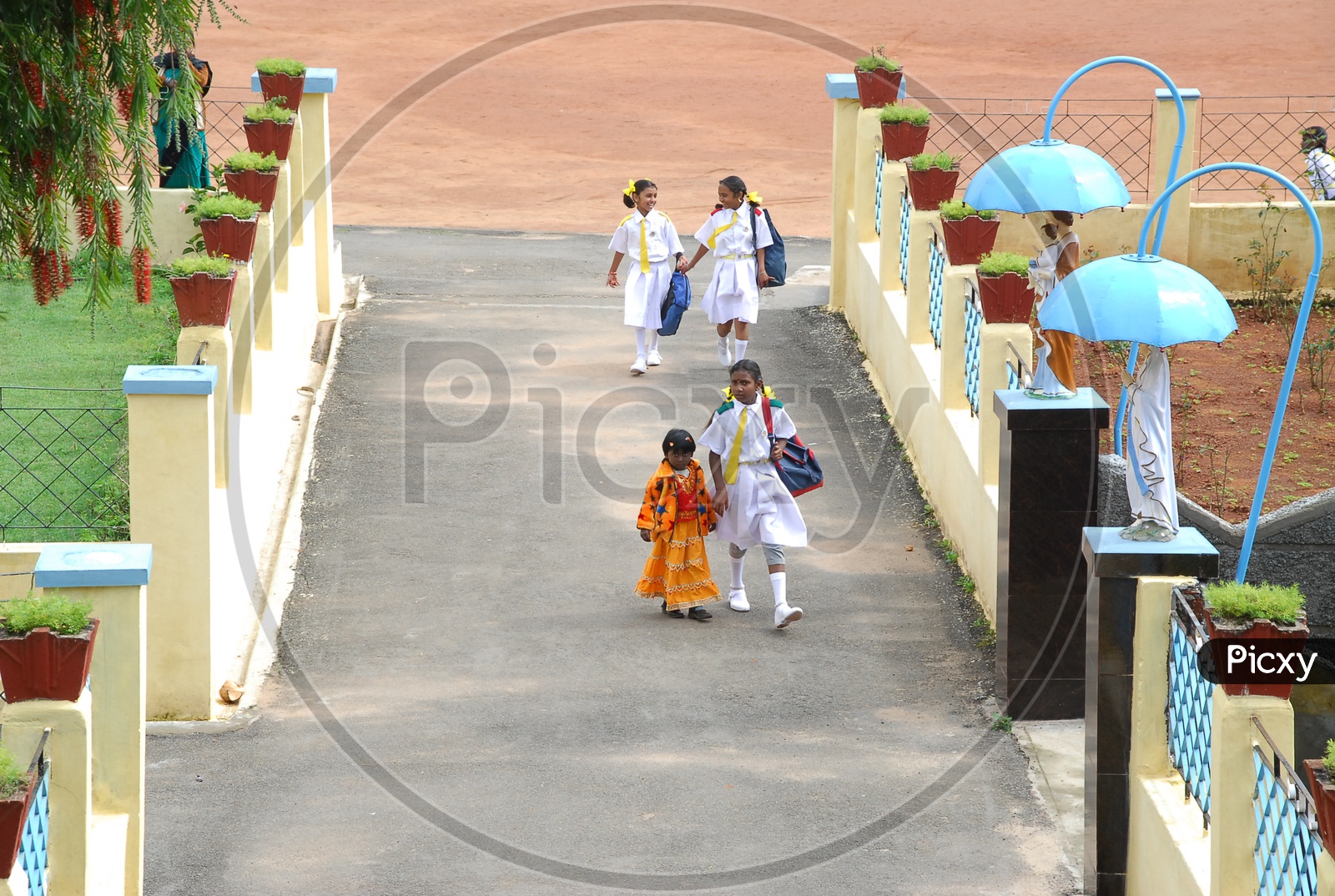 Girl Children in School Uniform In a School Compound