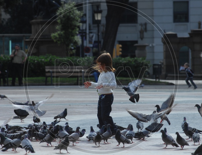 A Girl Child Playing With Pigeons on a Road