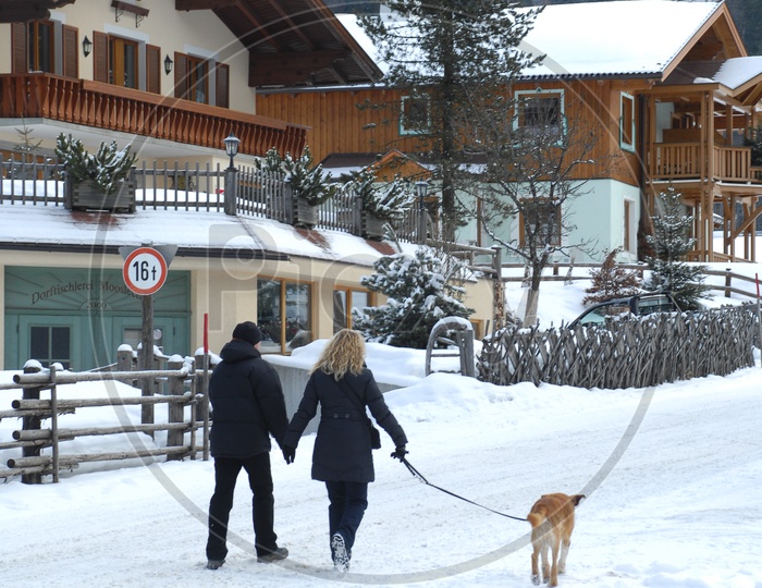 A Couple Walking on Snow With Their pet dogs in Switzerland
