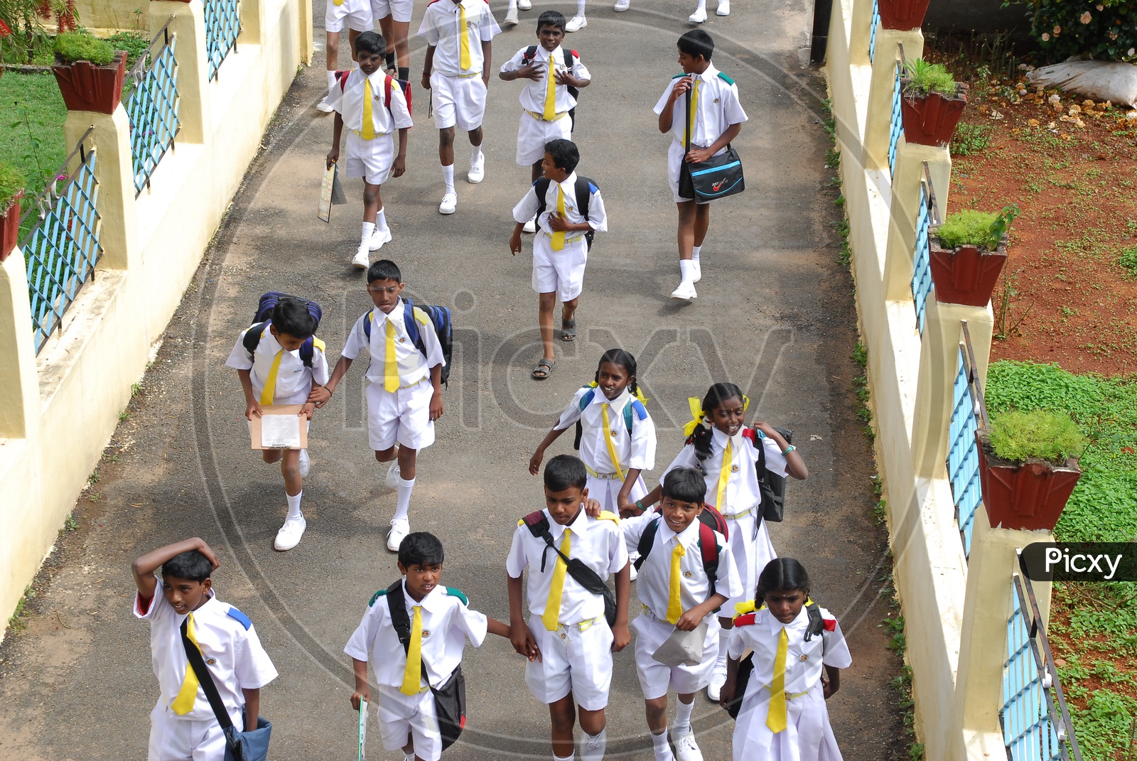 School Children in Uniform In School Compound